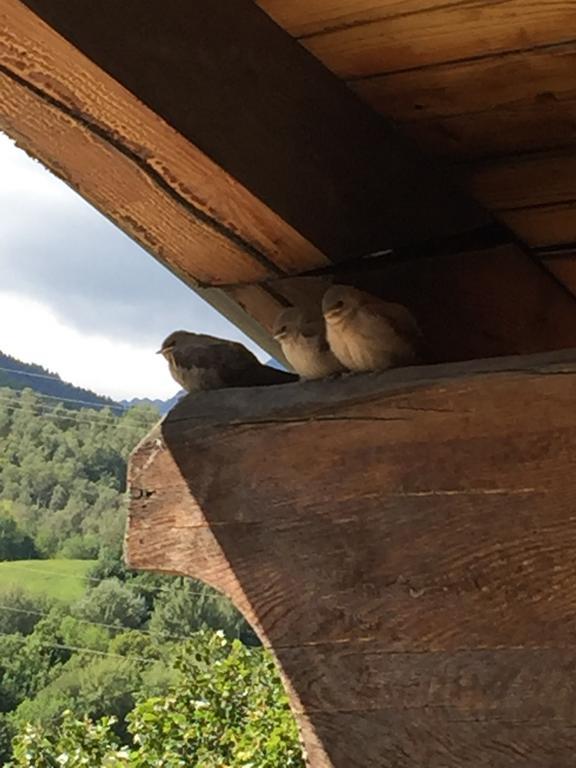 Hotel Edelweiss Villeneuve Eksteriør billede